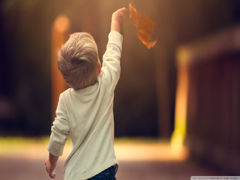 pgd 费用（试管宝宝颖云）